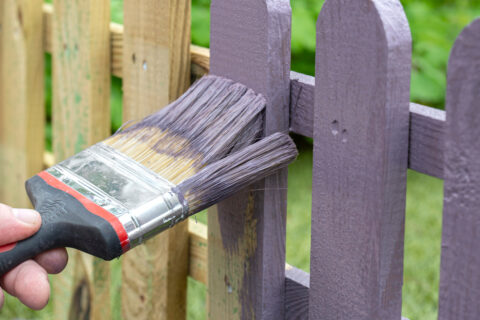 Man painting a wooden picket fence with purple wood stain