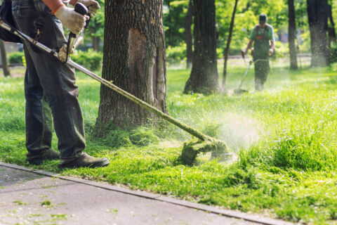 Green Spaces Maintenance